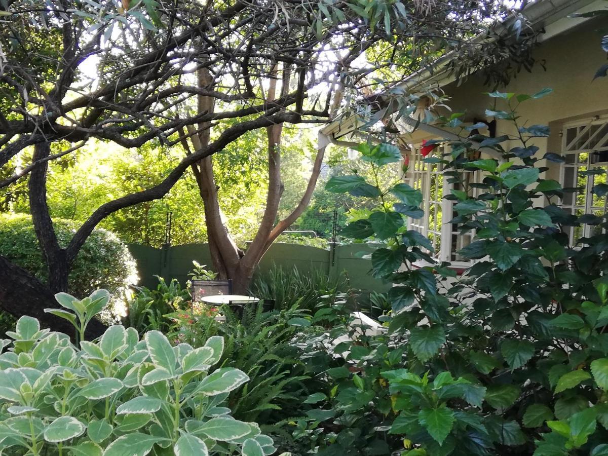 Tiree B&B Johannesburg Kültér fotó